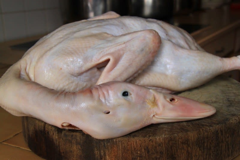 Pilih bebek karkas yang segar